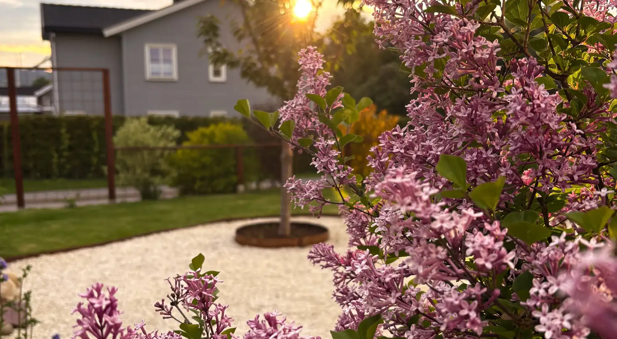 Landscape project in the Fox Valley