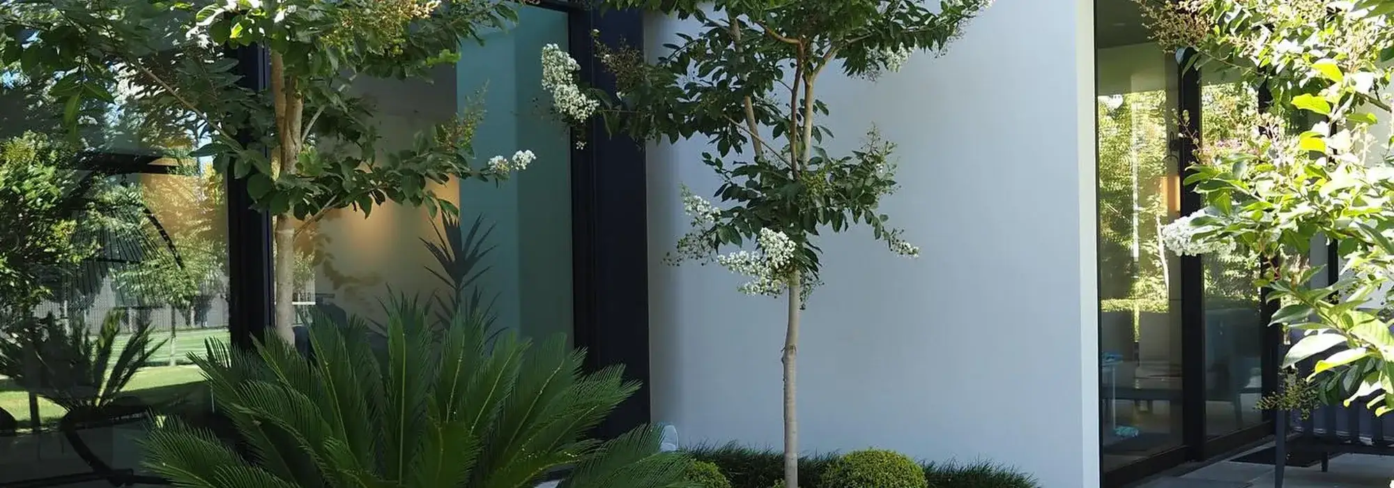 Modern Paver Entry & Front Garden
