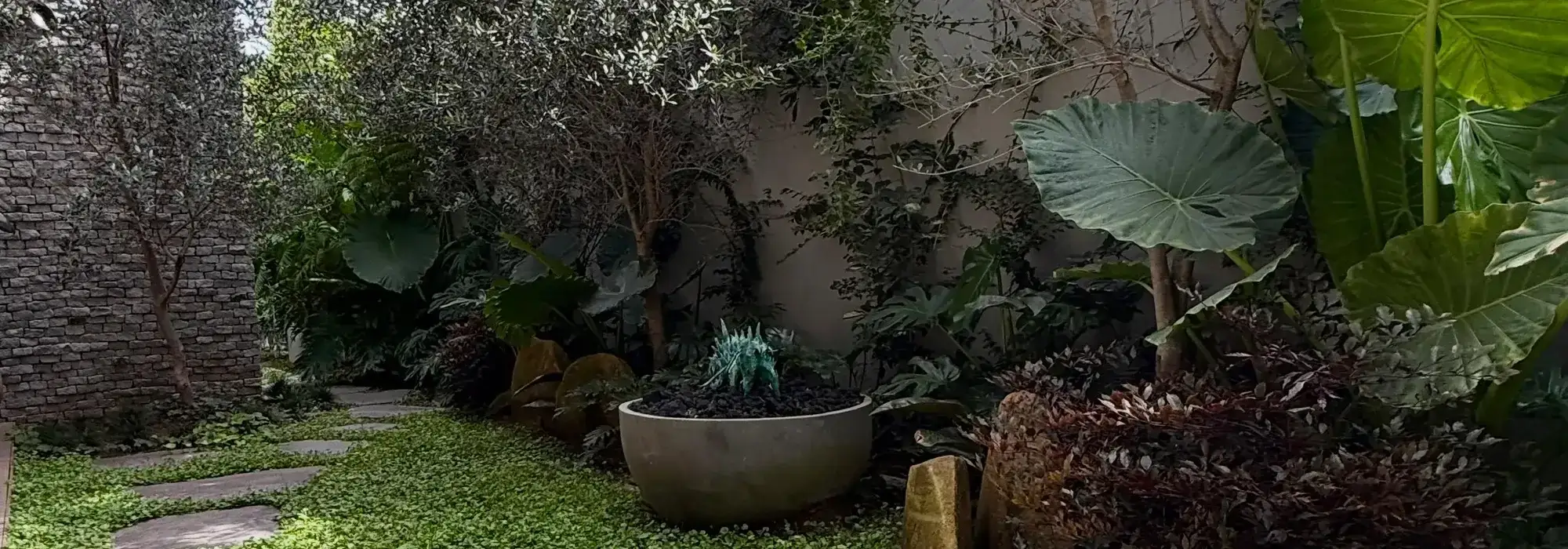 Sheltered Courtyard Garden