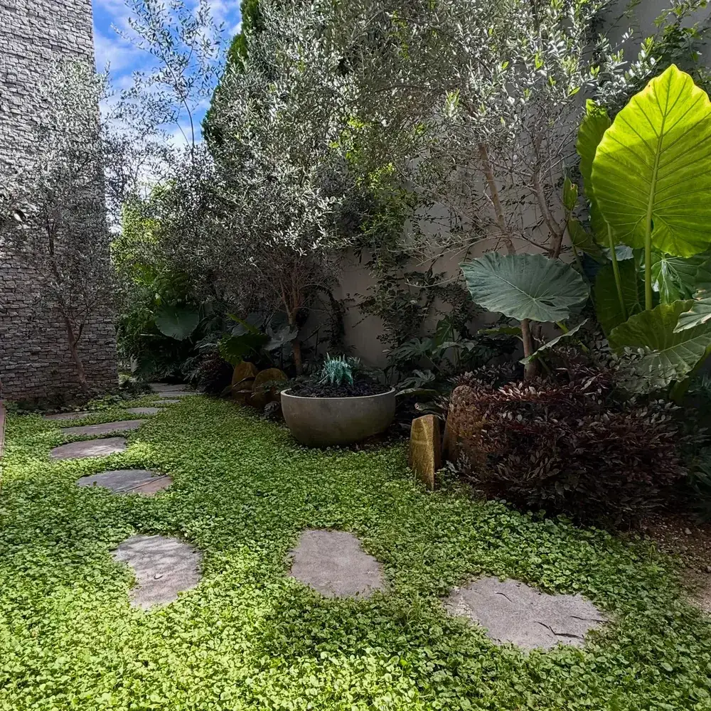 Sheltered Courtyard Garden