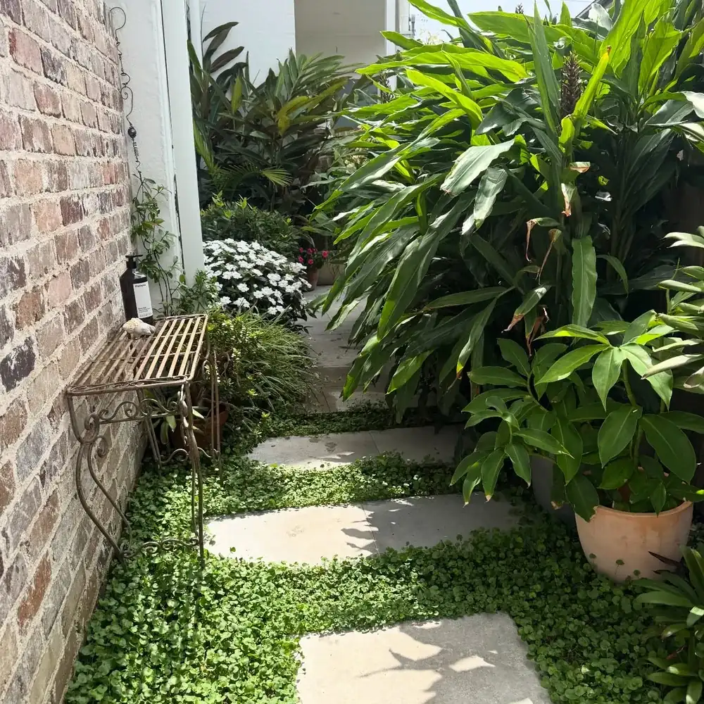 Side-Yard Stepping-Stone Path