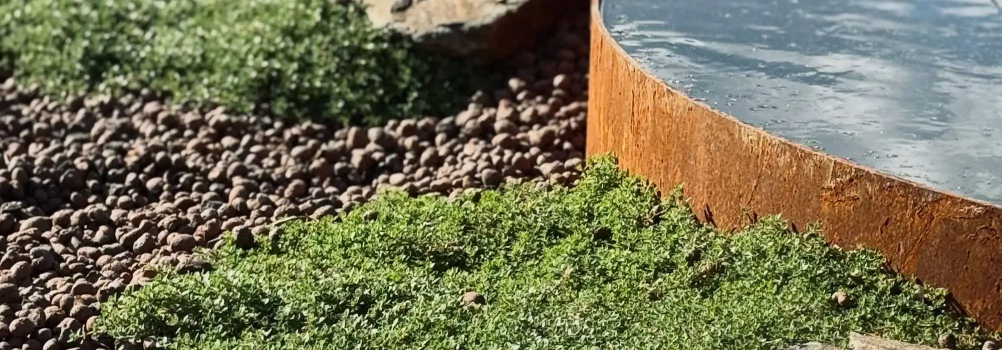 Water Feature & Rock Garden