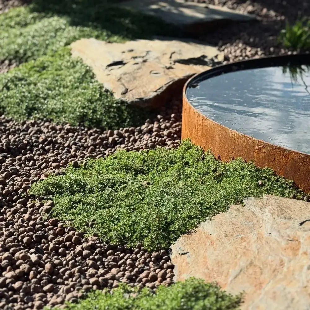 Water Feature & Rock Garden