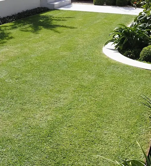 Lawn, curved bed and white garden wall