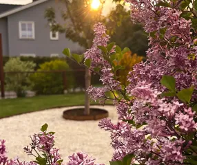 Plan your spring project