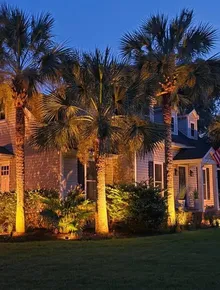 Lighting & irrigation