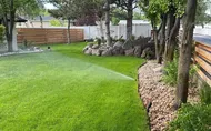 Weeks 2 and 3: water deeper, less often