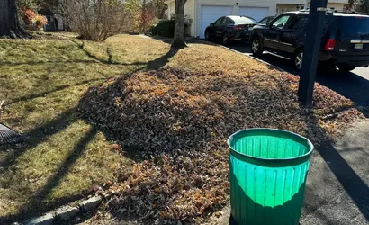Winter Care for Trees and Shrubs
