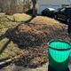 Winter Care for Trees and Shrubs
