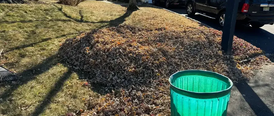 Winter Care for Trees and Shrubs