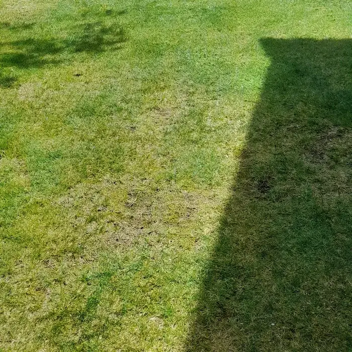 Core Aeration in Sandwich, IL