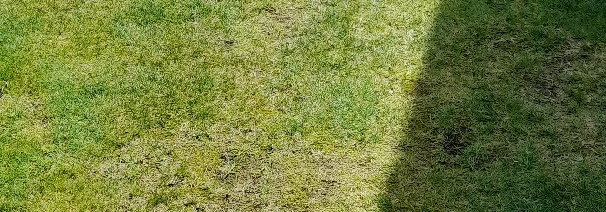 Core Aeration