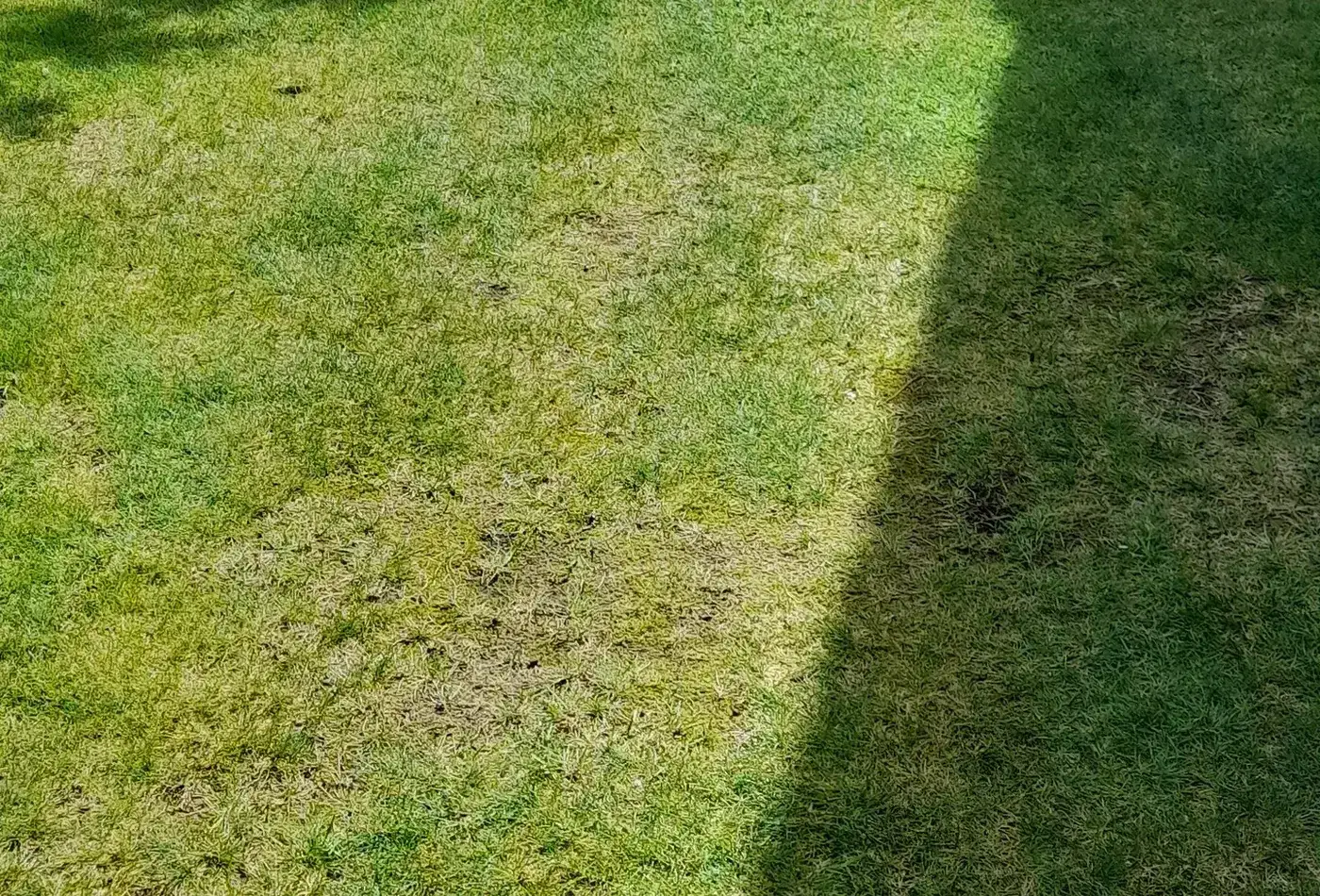 Core Aeration installation by Hollow Oak Landscaping