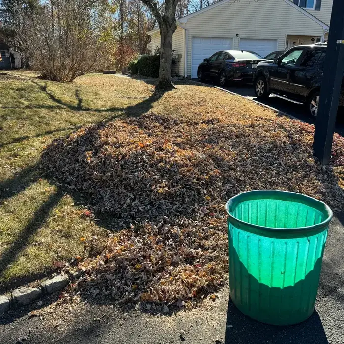 Fall Cleanup in Sandwich, IL
