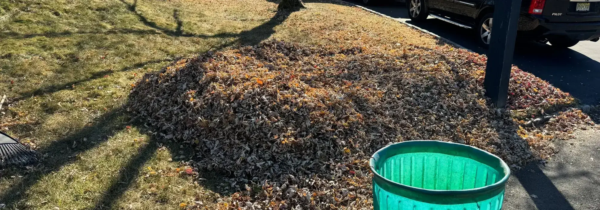Fall Cleanup