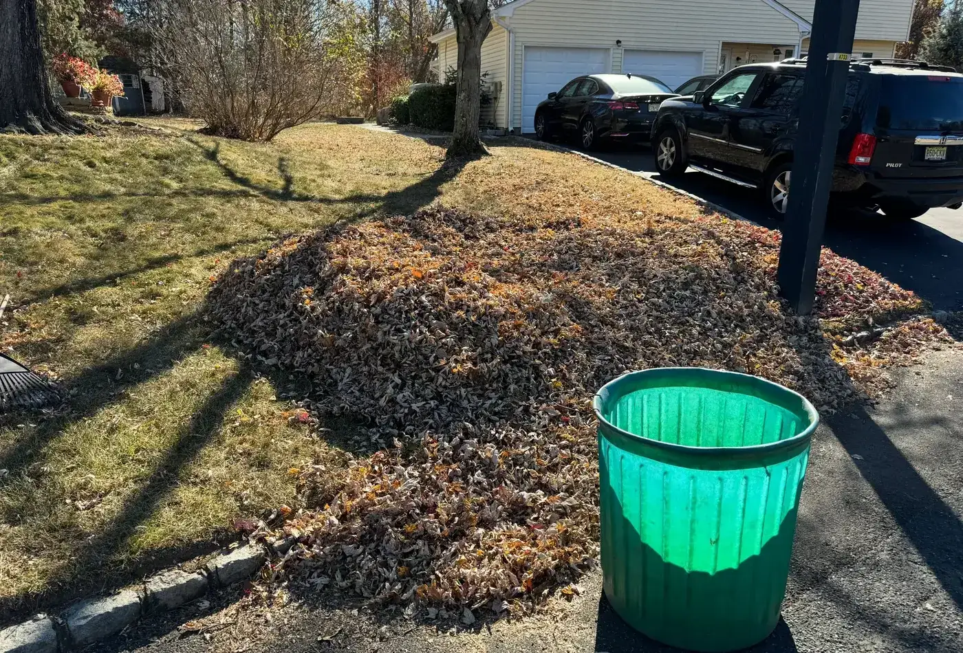 Fall Cleanup installation by Hollow Oak Landscaping