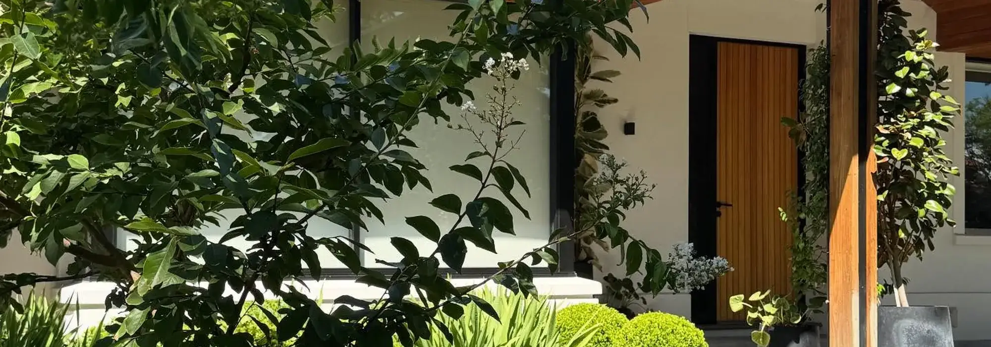 Landscape Design
