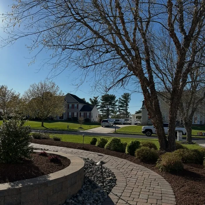 Spring Cleanup in Sandwich, IL