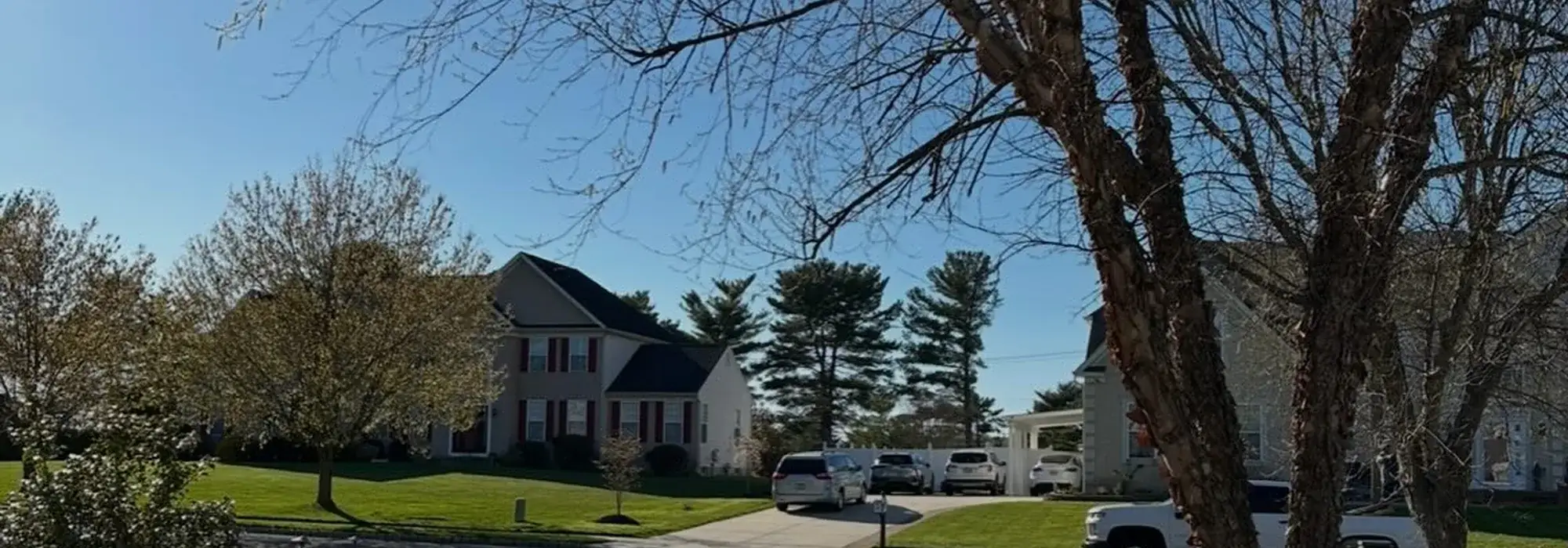 Spring Cleanup